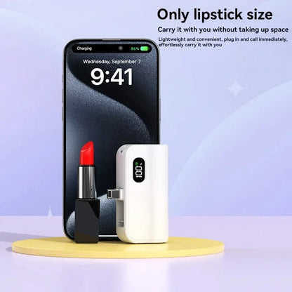 PowerMini™